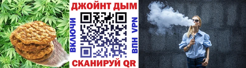 магазин продажи наркотиков  Северская  Cannafood конопля 