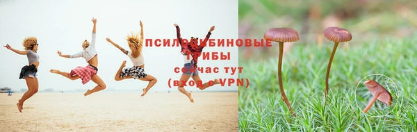 спиды Осташков
