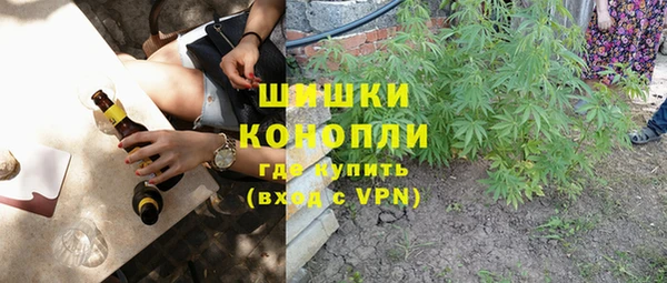 ALPHA PVP Осинники
