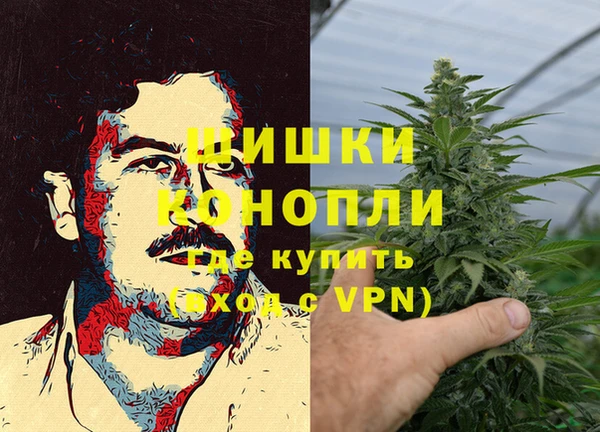 ALPHA PVP Осинники