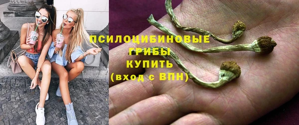 индика Остров