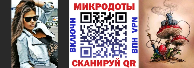 хочу наркоту Северская Псилоцибиновые грибы Psilocybine cubensis